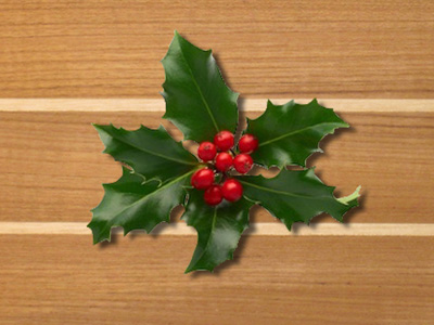 Teak wood bar top with holly inlay & berry bough.